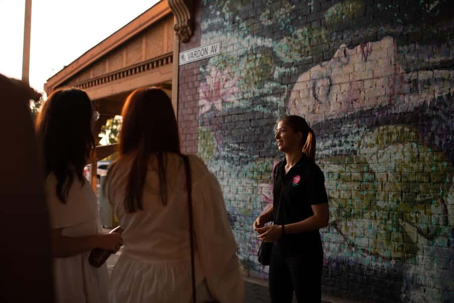 Adelaide: Paint and Palate Street Art Tour - Who this tour is best for