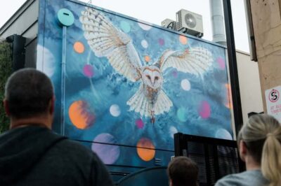 Adelaide: Paint and Palate Street Art Tour - Meeting at the Ophelia piece: start here, then follow the trail