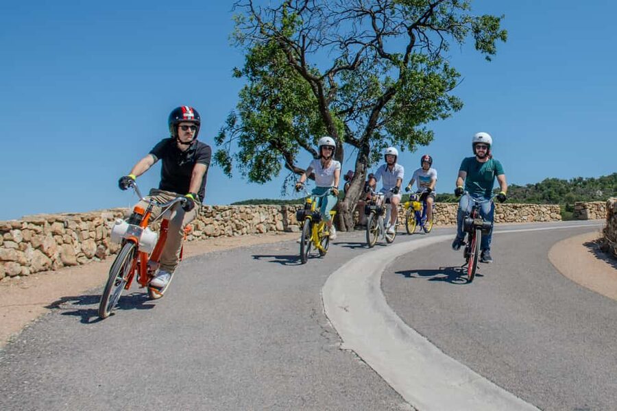 Argelès-sur-Mer: a guided Solex ride to discover street art - Quick take before you go