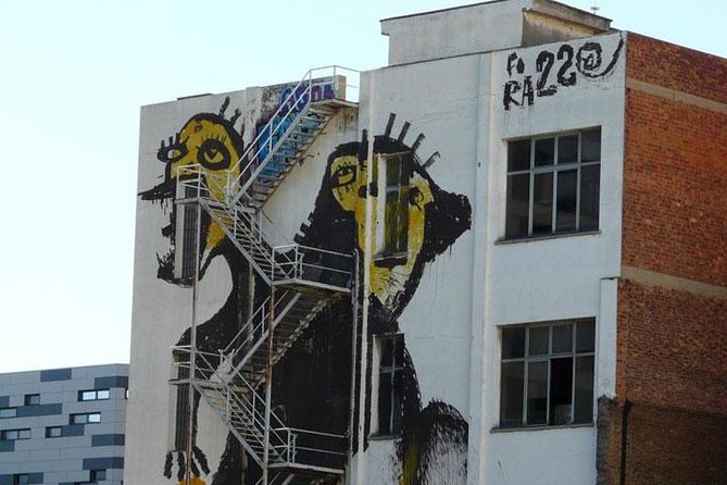 Barcelona Street Art and Graffitti Bicycle Tour - Entering the City by Bike: Why This Tour Works