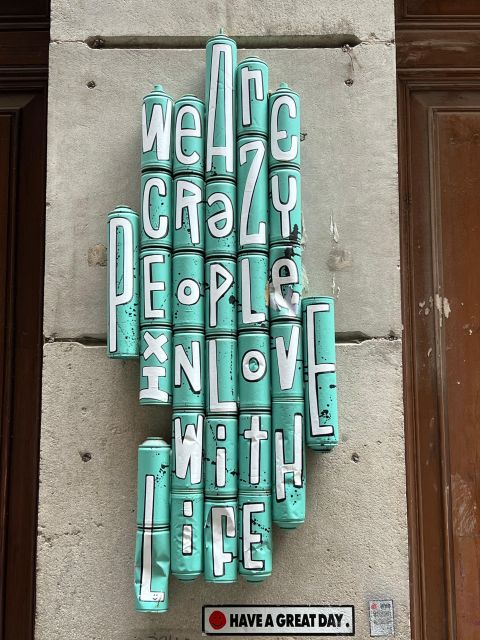 Barcelona: Street Art & Visit to Galleries Tour - Barcelona Museum of Contemporary Art: bridging street art and museums