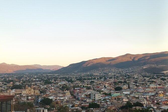 Bicycle Tour through Oaxaca learning about its Urban Art and History - Price and logistics: why $34.65 is a bargain if you want both art and movement