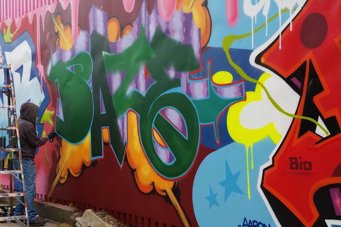 Brooklyn Street Art Tour - Price and value: $25 for a guided art lesson in 90 minutes