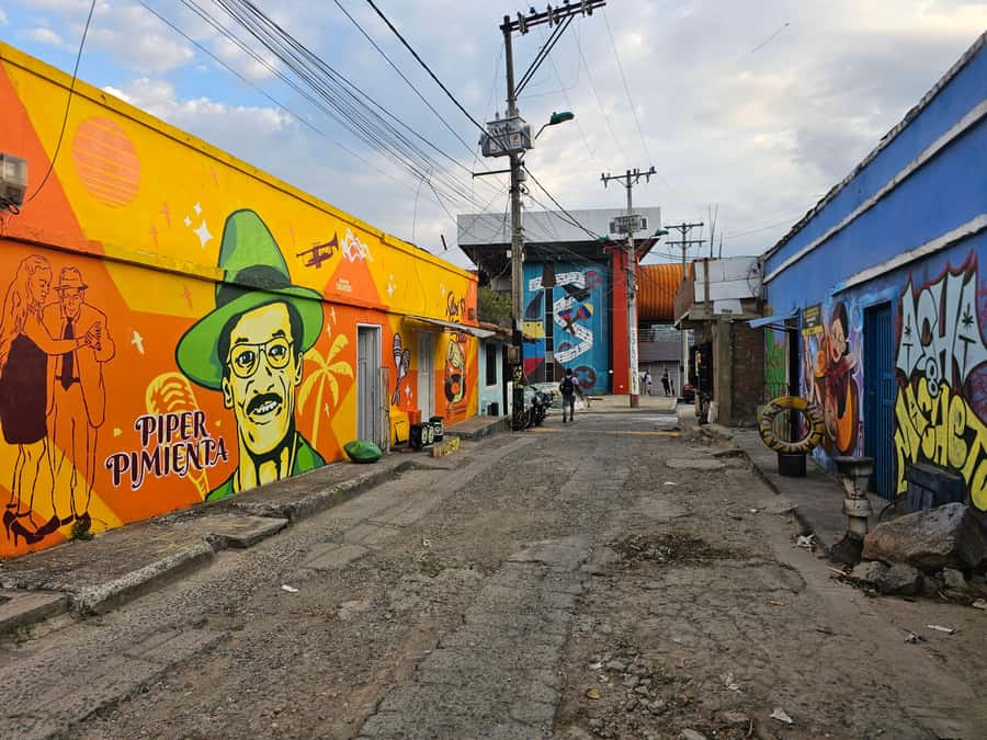 Cali: Comuna 20 Siloé Street Art Tour - Who this tour is best for (and who should skip it)