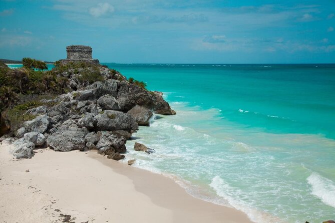 Cancun Private Street Art Tour - Walking 10–12 blocks: what you’ll see and what to watch for