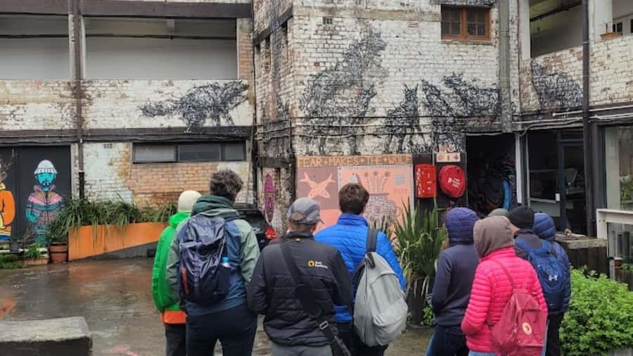 Cape Town: Inspiring sustainable change through Street Art - What your guide actually helps you notice (beyond the colors)