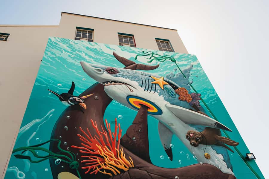 Cape Town: Street Art Walking Tour in Woodstock - Price and Timing: What $37 Buys in Real Time