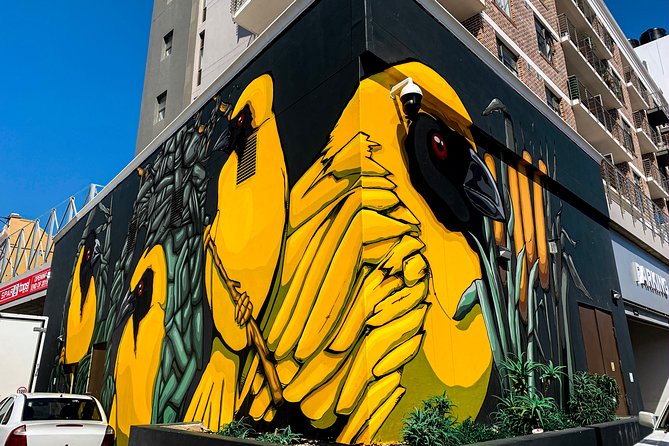 Cape Town Woodstock Street Art Walking Tour - Coffee and the pace: 90 minutes that don’t drag