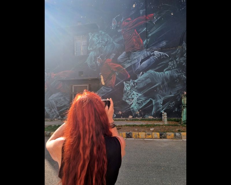 Delhi Street Art Tour: Explore the Murals & Visit a Stepwell - Value for $38: Is It Worth It?