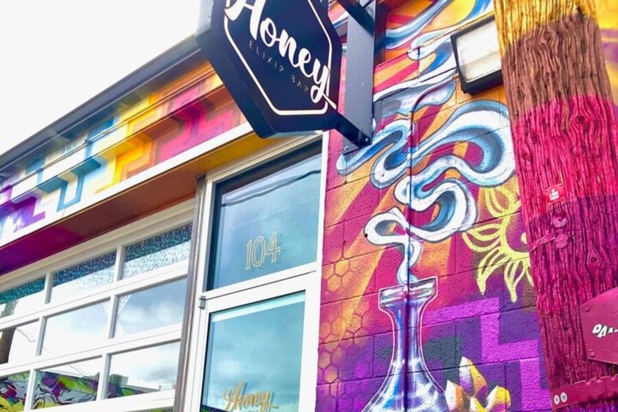 Denver Street Art & Murals Tour + Brewery Visit/Beer Tasting - RiNo collaboration murals: learning to spot the details that matter