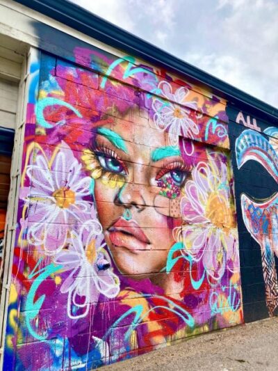 Denver Street Art & Murals Tour + Brewery Visit/Beer Tasting - Art Alley and the behind-the-art stories you won’t get on your own