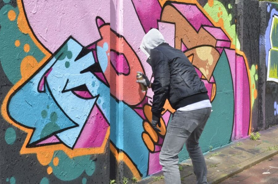Eindhoven: Self-Guided Individual Street Art Tour - Price and value: what $29 buys you