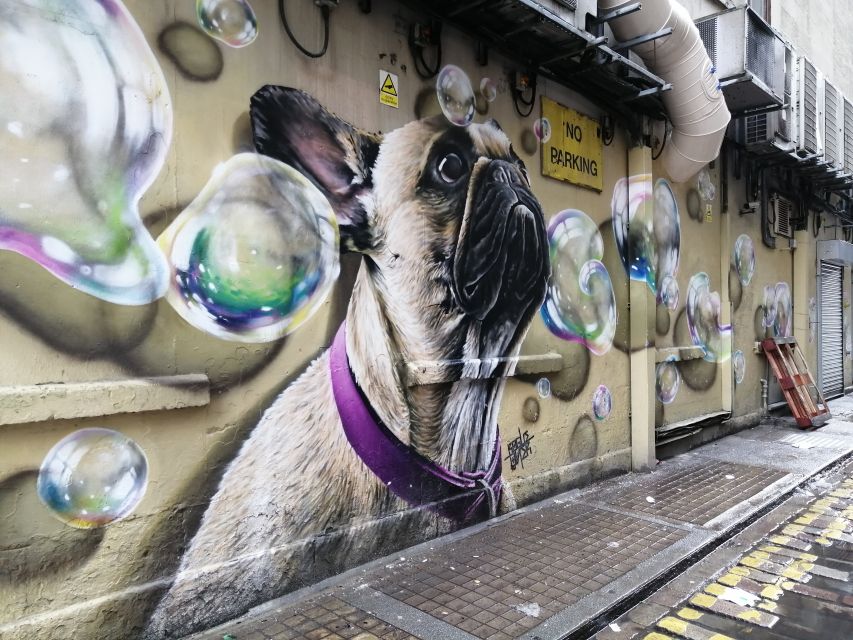 Glasgow: Street Art Guided Walking Tour - Graffiti vs street art, plus the City Council factor