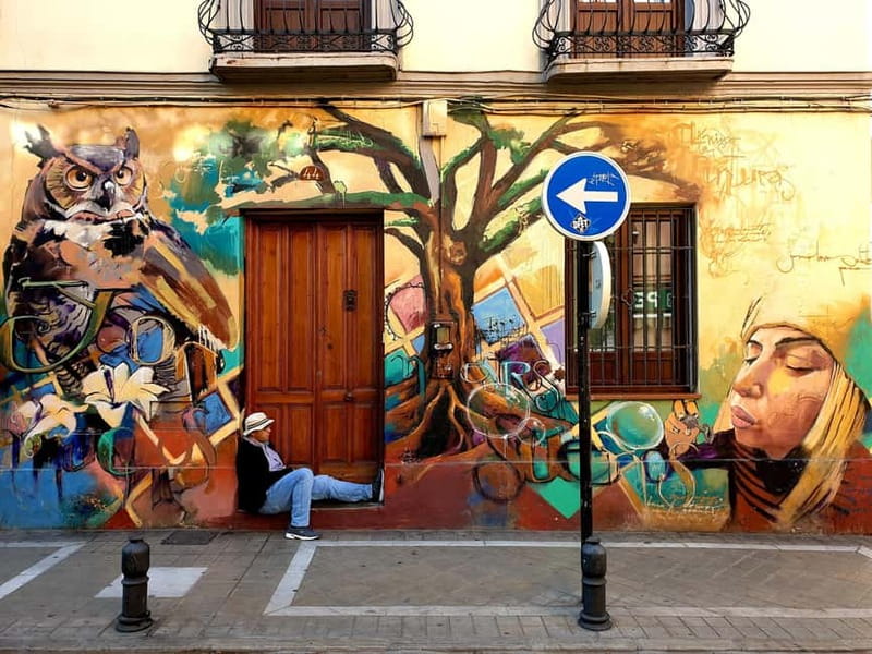 Granada: "Street Art & The Caves" Unique Guided Walking Tour - Street Art Meets Cave Houses in Three Old Granada Districts