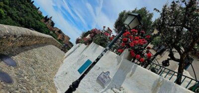 Granada: "Street Art & The Caves" Unique Guided Walking Tour - Price and What You Actually Get for $35