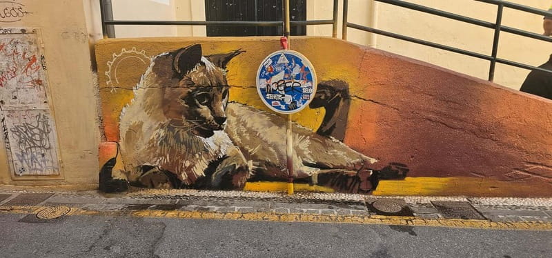 Granada: "Street Art & The Caves" Unique Guided Walking Tour - What to Bring for the 8 km Up-and-Down Walk