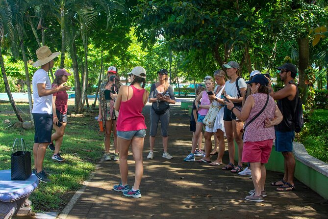 Guided Walking Street Art & Graffiti Tour in Jaco Costa Rica - How Josué Turns Street Art Into Town History
