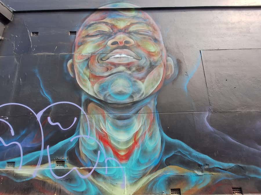 Hidden Adelaide: Laneways & Street Art Tour - Price and Value: $45 Plus a Direct Charity Donation