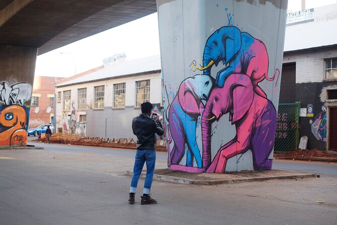 Johannesburg: Maboneng Street Art & Culture Tour - Why Maboneng’s street art needs a guide