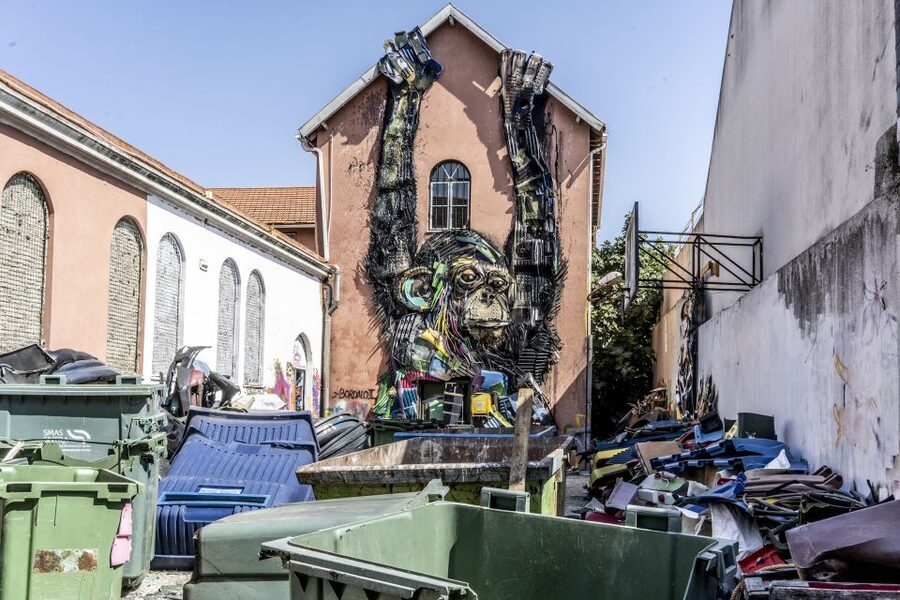 Lisbon: Street Art TukTuk Tour - Is the $94 Price Worth It?