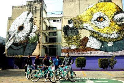 Mexico City: Art Naco, murals & street art bike tour - Pick the route: North murals, Downtown graffiti, or South Coyoacán art