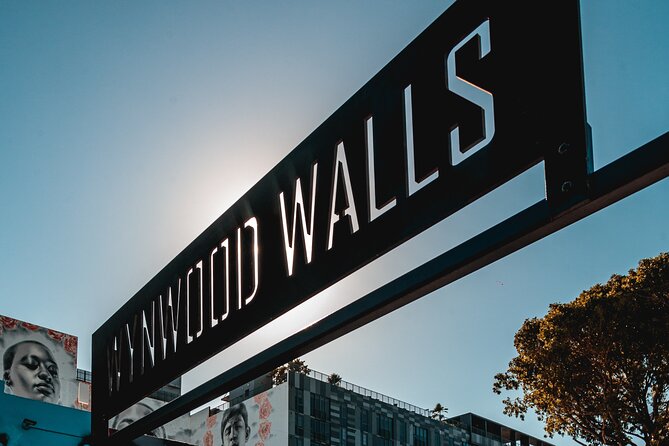 Miami Wynwood Walls Street Art & Neighborhood Walking Tour - Wynwood neighborhood stroll: seeing the art in context