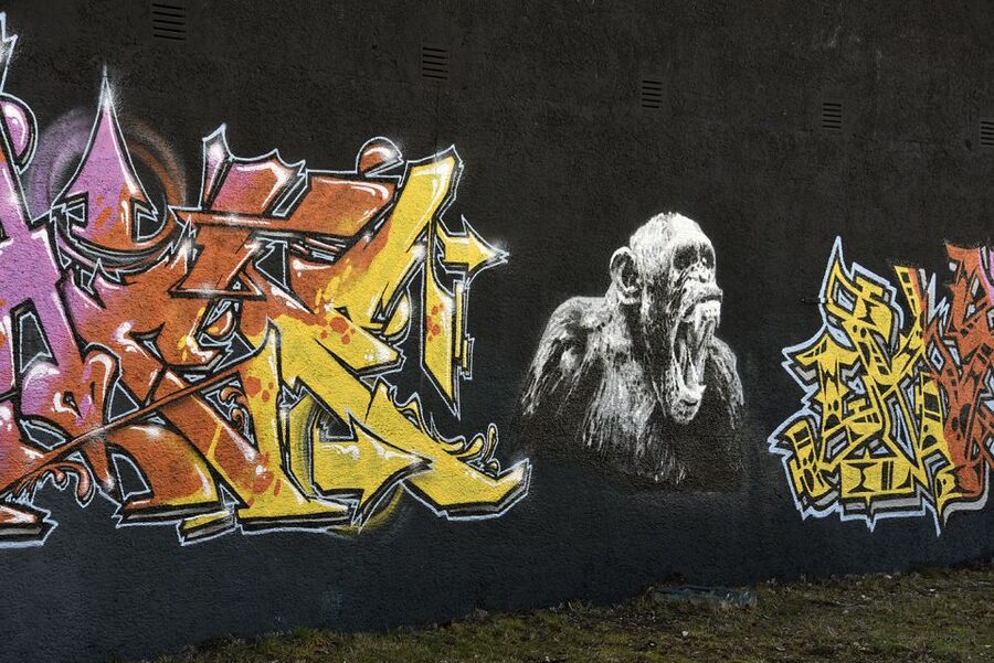 Munich: Street Art Bike Tour - Slaughterhouse District + Boat Break at a Railway Bridge
