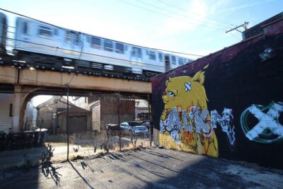 Offbeat Street Art Tour of Chicago: Urban Graffiti, Art, and Murals - Bloomingdale Trail and The 606: art you walk through