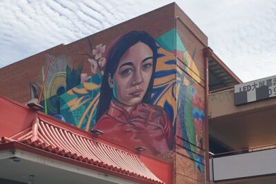 Paint and Palate Street Art Tour with Food - Stop 1 on Rundle Street East: the East End gallery wall