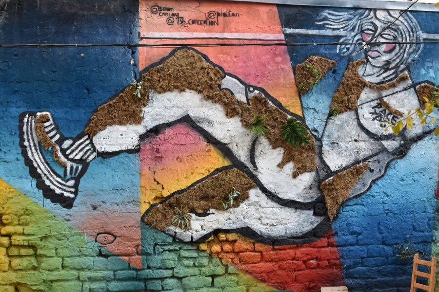 Paris: Belleville Street Art Tour with an Artist - Key highlights worth your time