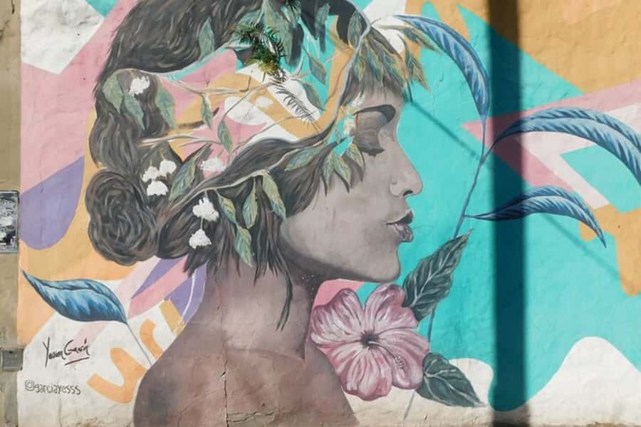 Premium Argentinian Wine and Malbec Tasting & Urban Art Tour - Key highlights at a glance