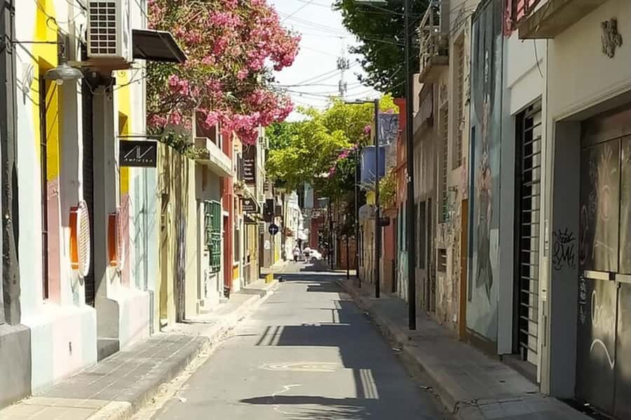 Premium Argentinian Wine and Malbec Tasting & Urban Art Tour - Palermo Soho: Walking Between Cool Streets and Wine Lessons