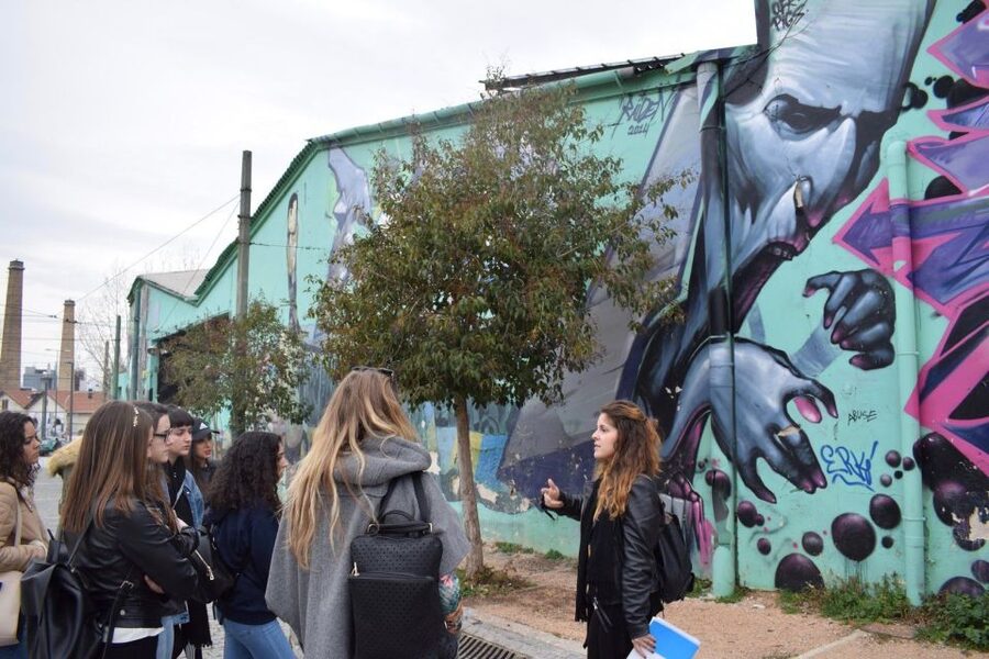 Private Athens Street Art & Culture Tour - Learning the street-art vocabulary as you walk