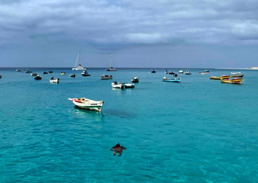 Sal island: Santa Maria city tour, street art and tapas - Key highlights you’ll feel right away