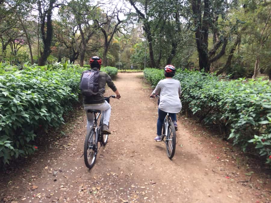 São Paulo: Street Art Bike Tour - Ibirapuera Park: where the ride slows and the museums play