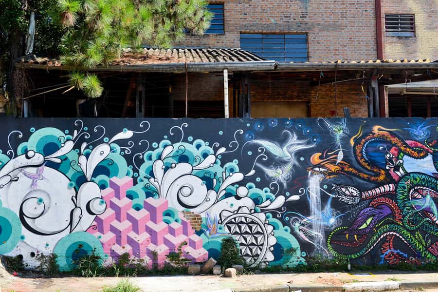 São Paulo Street Art Tour - Vila Madalena stops that feel like part of the neighborhood