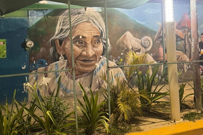 Street Art & Cemetery Cultural Tour - half day - Quinta Avenida: your first hour on Playa del Carmen’s main walk