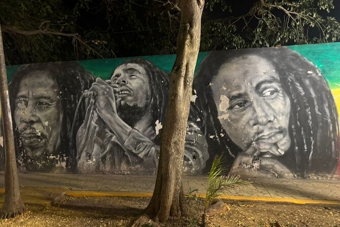 Street Art & Cemetery Cultural Tour - half day - Price and logistics: is $151 a good deal for a half-day private tour?