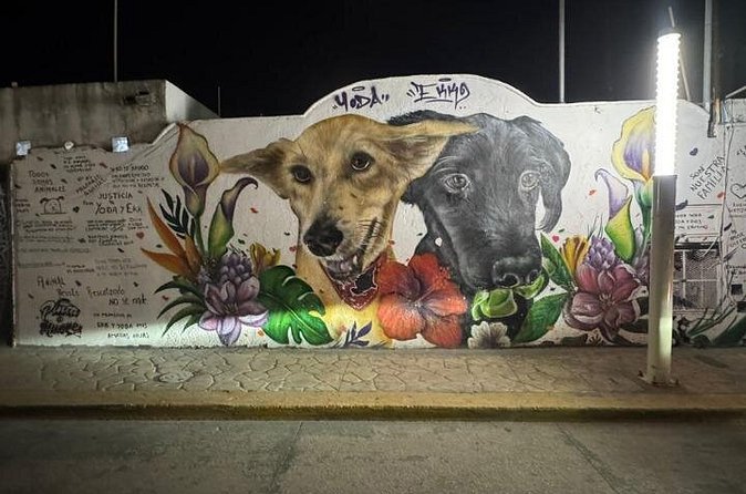 Street Art & Cemetery Cultural Tour - half day - Who should book this street art and cemetery cultural tour?