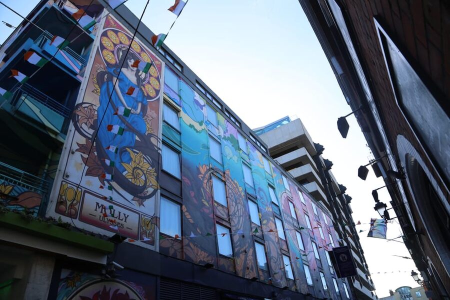 Street Art Walking Tour - Blooms Hotel, Project Arts Centre, and Crampton Court: the stretch where the art scene feels close
