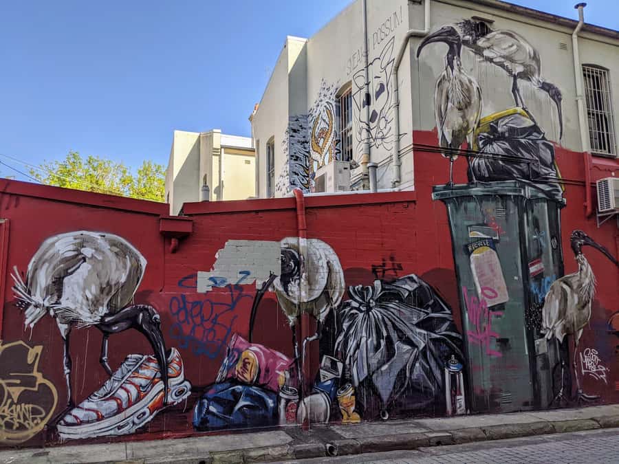 Sydney: Street Art & Small Bar Tour with Complimentary Drink - Key Things I’d Mark on My Sydney Map