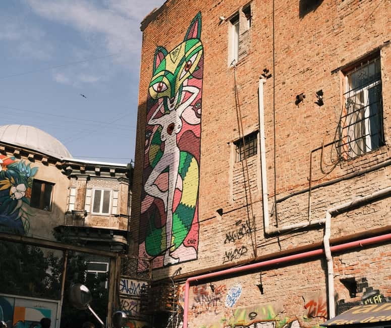 Tbilisi: Street Art and Graffiti Guided Walking Tour - Key things to look for on this Tbilisi street art walk