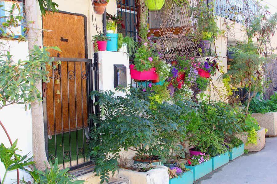 Tel Aviv: Florentin Saturday Walking Tour - Should you book: my take on Tel Aviv: Florentin Saturday Walking Tour