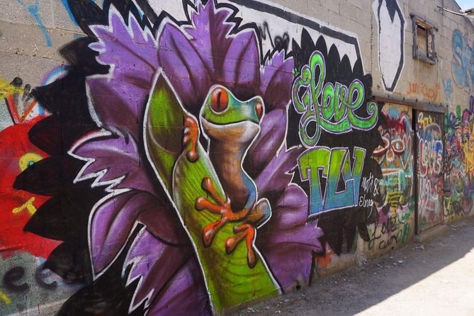 Tel Aviv Street Art & Graffiti Tour - Key things to know before you go