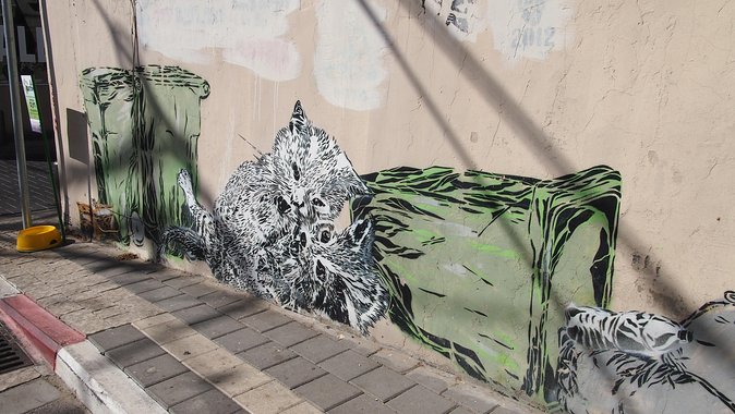 Tel Aviv Street Art Tour - South Tel Aviv street art with real social context