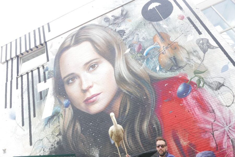 The Hague: Street Art Tour by Bike - The Hague Center: 45 minutes of stories behind the walls