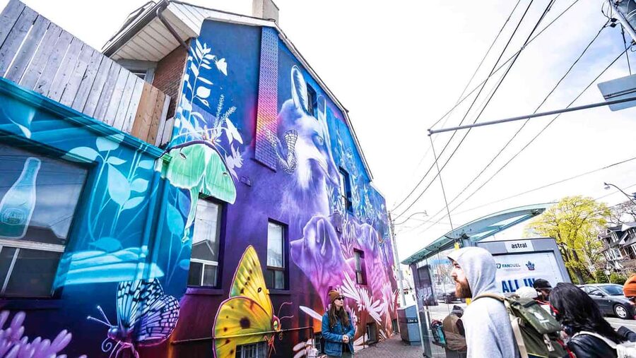 Toronto: Must Do NonTouristy Street Art Tour by local Artist - What You’ll Spot: Wheat Paste, Yarn Bombing, Stickers, and Graffiti