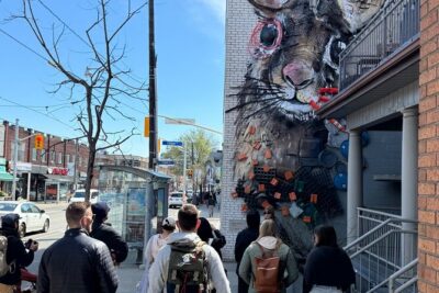 Toronto Street Art and Graffiti Walking Tour - Your Guide and the Type of Questions This Tour Makes Easy