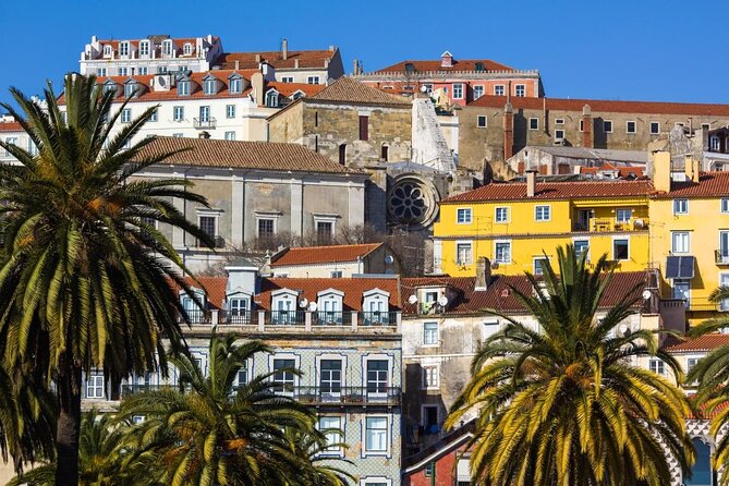 Tuk Tuk Lisbon: Exploring Urban Art - Key Things You’ll Really Notice