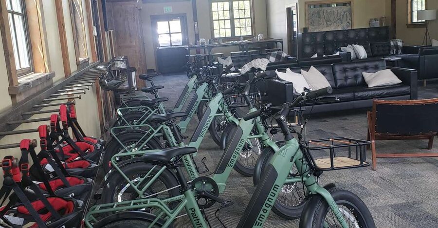 Urban Art and Historical Electric Bike Tour - The e-bike is the secret sauce: effort down, fun up